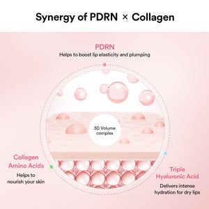 PDRN collagen lip mask Glazed jelly