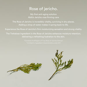 Jericho rose collagen pad Firming Touch