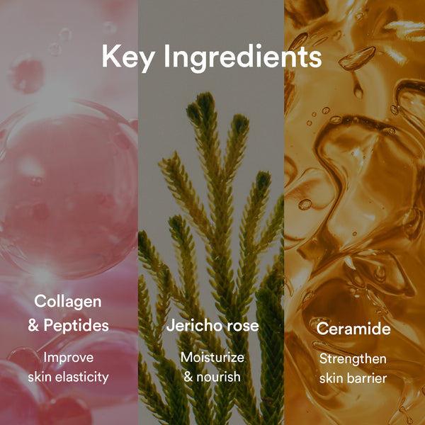 Glow Morning Radiance Trio