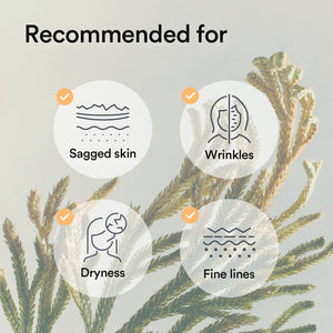 Glow Morning Radiance Trio