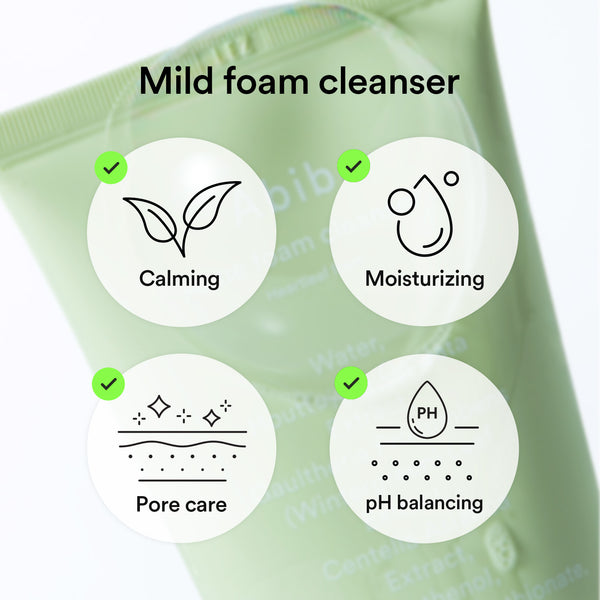 Mild Foam Cleanser Heartleaf Foam