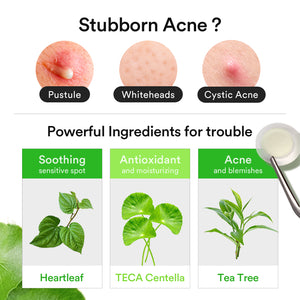 Heartleaf Calming Spot patch