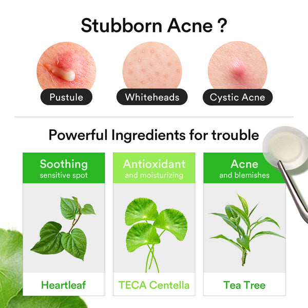 Heartleaf Calming Spot patch