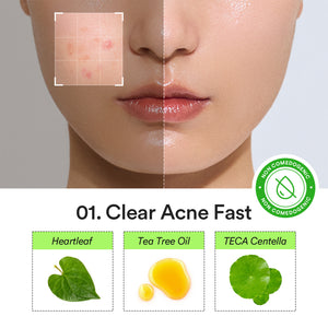 Heartleaf Calming Spot patch