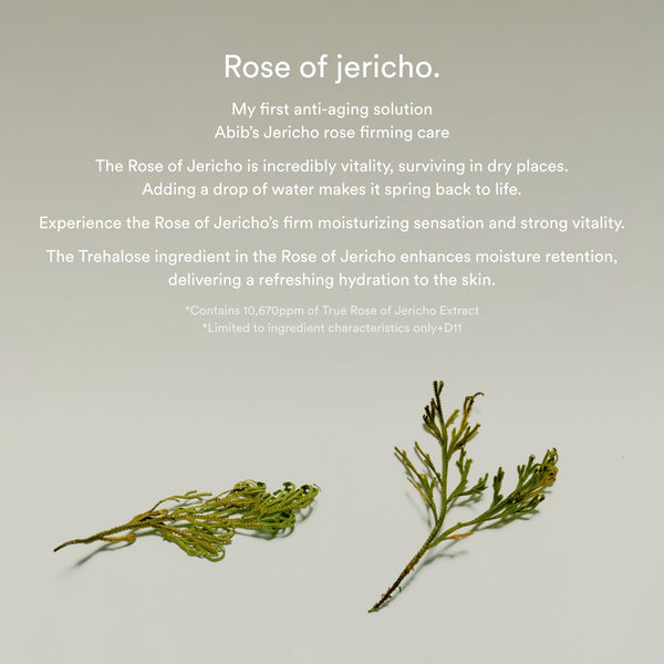 Jericho rose non-animal collagen pad firming touch