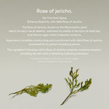 Jericho Rose Bifida Serum Firming Drop