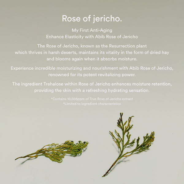 Collagen Eye Crème Jericho Rose Tube