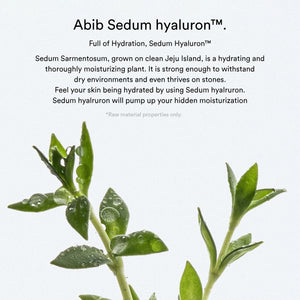 Sedum Hyaluron creme Hydrating Pot