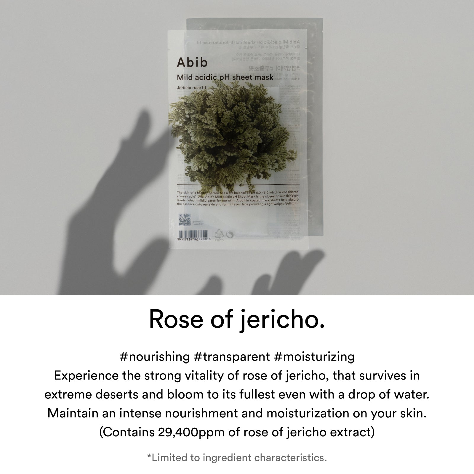 Jericho rose fit (10 sheets)
