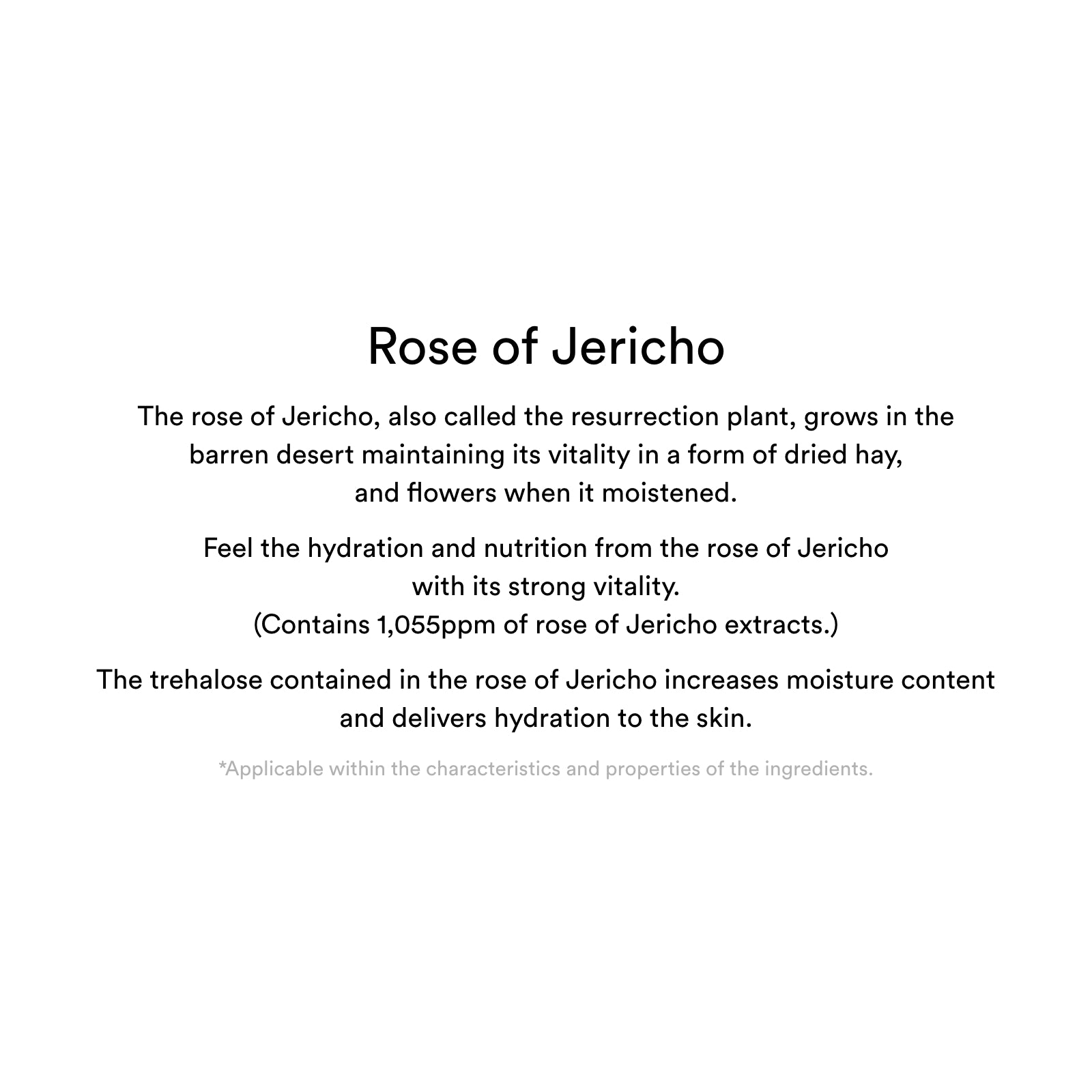 Jericho rose jelly